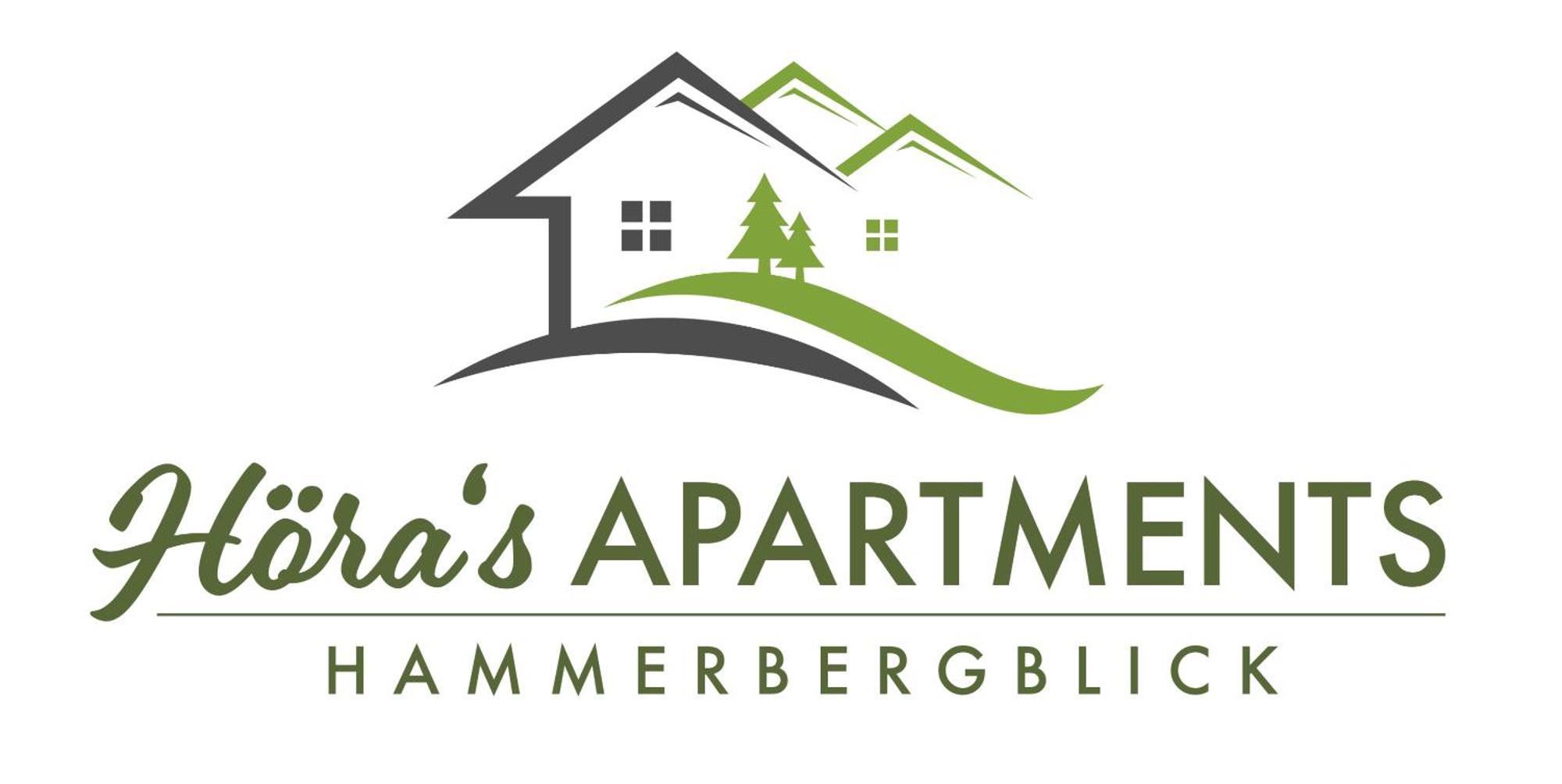 Hoera'S Apartments Hammerbergblick Munchberg Exterior photo